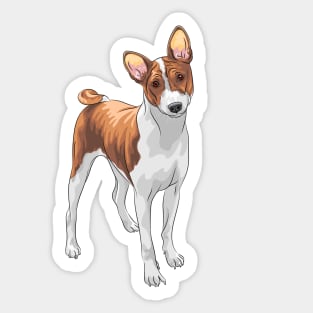 african barkless dog Sticker